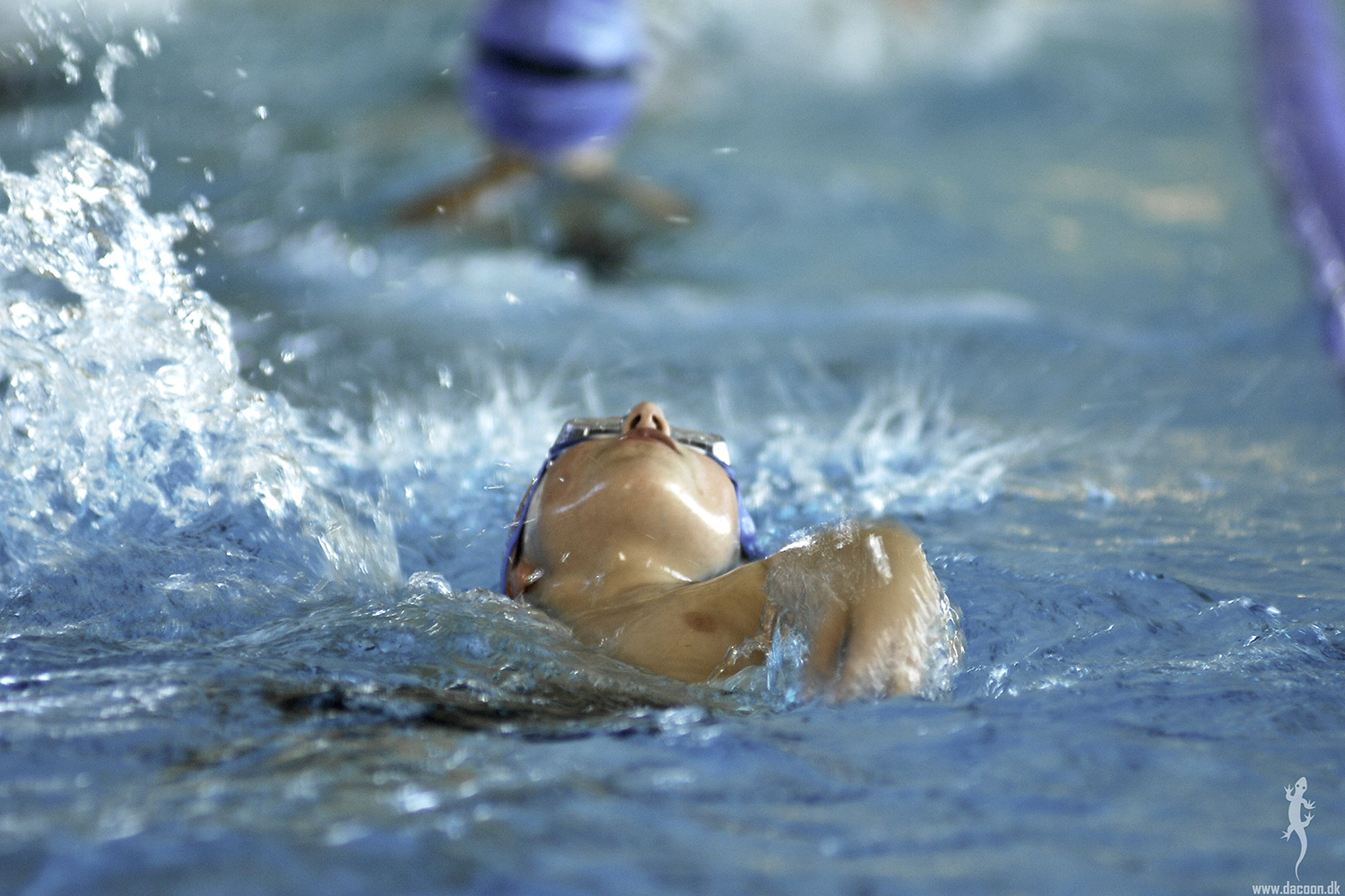 Svømmeskole børn i vandet
